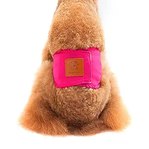 KUTKUT Male Dog Wrap Reusable Dog Diaper | Male Belly Band Washable Diaper | Highly Absorbent Diaper, Physiological Sanitary Pant for Small Dogs (Pink, Size: L, Adjustable Waist: 42 cm - 47 cm)