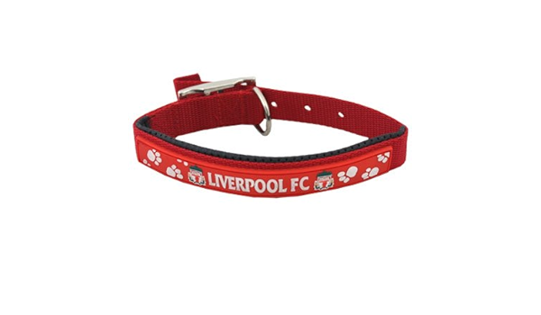 lfc dog collar