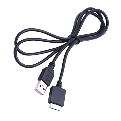 Preisvergleich Produktbild USB Datenkabel für Mp3 NW A
