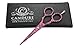 Hairdressing Scissors 5.5'' - Hair Cutting Scissors - Barber Salon Scissors - hair Styling Scissors - Barber Scissors + Case