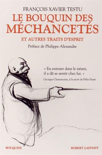 couverture de : Le bouquin des m&eacute;chancet&eacute;s