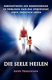Die Seele Heilen - Erkenntnisse Aus Regressionen in Vorleben Und Das Spirituelle Leben Zwischen Leben by Andy Tomlinson