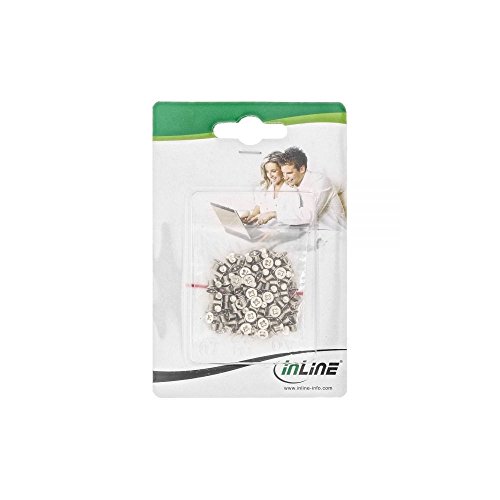InLine 77781A 100er Pack Schraubenset für 6,35 cm (2,5 Zoll) Festplatte/SSD, 3 mm, flacher Senkkopf silber - 2