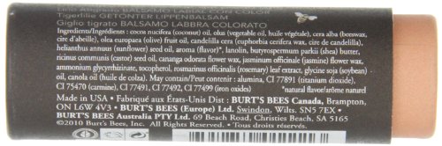 Burt’s Bees Tinted Lip Balm – Tiger Lily, 4.3 g - 3