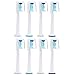 Produktbild ZITFRI 8 Stk. Bürstenkopf für Philips Sonicare Aufsteckbürsten Ersatzbürsten für DiamondClean, FlexCare Platinum, FlexCare(+), HealthyWhite(+), 2 Series, EasyClean, PowerUp, 3 Series gum health usw. - Zahnbürstenköpfe mit Hygienische Kappen - EasyClean PowerUp und HealthyWhite Aufsteckbürsten