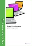 Image de City & Guilds Level 3 ITQ - Unit 327 - Spreadsheet Software Using Microsoft Excel 2013