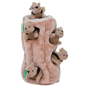 Hide-A-Squirrel Squeaky Puzzle Plush Dog Toy - Hide and Seek Activity for Dogs