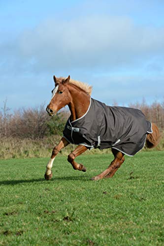 Preisvergleich Produktbild Bucas Freedom Turnout 150G Regendecke Navy 145cm