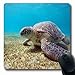 Produktbild Luancrop Mousepads Blaue Unterwasserlandschafts-Schildkröte-Meerwasser-rote wild lebende Tiere Wasserlange Spiel-Mausunterlage rutschfeste Gummimatte