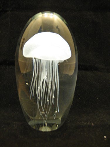 White Jellyfish Glass Paperweight 6" (Glow in Dark) With 3 Color (Pink, Purple & Orange) LED Light Stand by Dr Dry