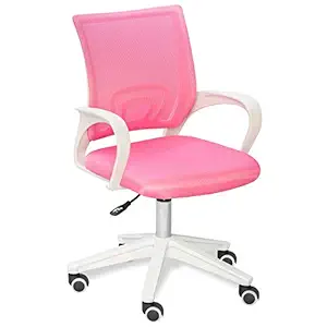 Alex Daisy Mesh Ergonomic Study Chair (Standard, Pink)