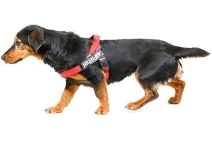 JULIUS-K9 Arnés IDC Color & Gray, Tamaño: S/Mini, Rojo-Gris