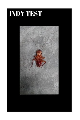 Preisvergleich Produktbild Indytest: test1