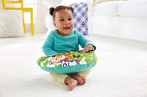 Imagen 6 de Fisher-Price Cojín de Actividades para bebé recién Nacido (Mattel CDR52)
