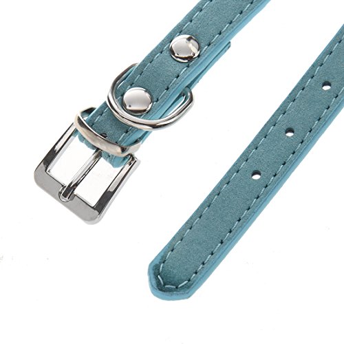 TOOGOOR-New-Blue-Bling-Cat-Puppy-Dog-Collar-Velvet-With-Diamante