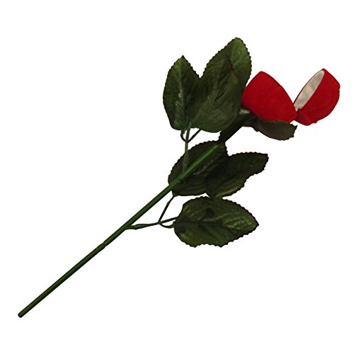 „Lass Blumen sprechen“ – Rose als Ringdose, perfekt für Ihren Antrag - 2