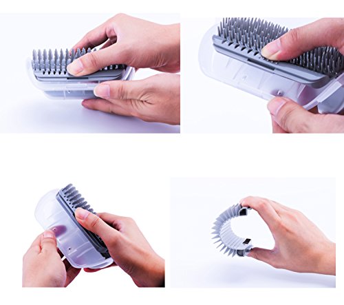 EASE-Chats-Brosse-Peigne-Fournitures-pour-animal-domestique-Coin-Massage-machine-de-massage-dangle-pour-animal-domestique-Chat-Self-tondeuse-Peigne-jouet-pour-chat-avec-herbe-chat