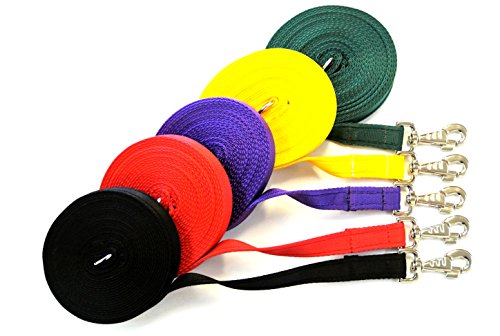 10ft3m-Horse-Lunge-LineLarge-Dog-Training-Lead-Large-25mm-Cushioned-Webbing-And-Heavy-Duty-Fluted-Trigger-Clip-In-Various-Colours