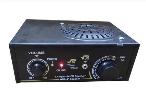 NP SERIES AC/DC FM Radio Multimedia Speaker Review for Home and Car Use