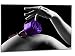 Produktbild LEINWANDBILD auf Keilrahmen A05224 EROTIC & FLOWERS LILA Deko 60 x 40 cm