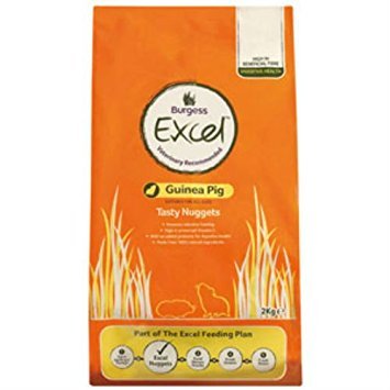 burgess guinea pig