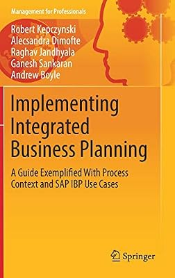 Implementing Integrated Business Planning: A Guide Exemplified With Process Context and Sap Ibp Use Cases