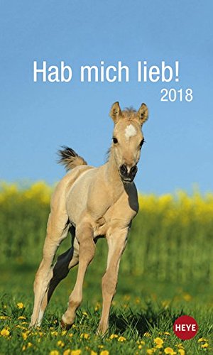 Pferde Hab mich lieb! - Kalender 2018