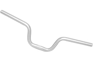 CHIWANJI Manubrio Riser per Bici Pieghevole Lega di Alluminio Manubrio a Forma di Rondine 580mm Riser Bar Accessori per il, Argento H160mm