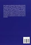 Image de Introducción al derecho constitucional : la constitución en acción (Tratados y Manuales de Derecho)