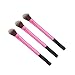 TimeSong Professional Cosmetics Highlighter Brush Setting Brush Plastic Handle Fiber Wool Foundation Brush (Pink blush)