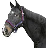 Kerbl Dexter mit Fleeceunterlage Halfter