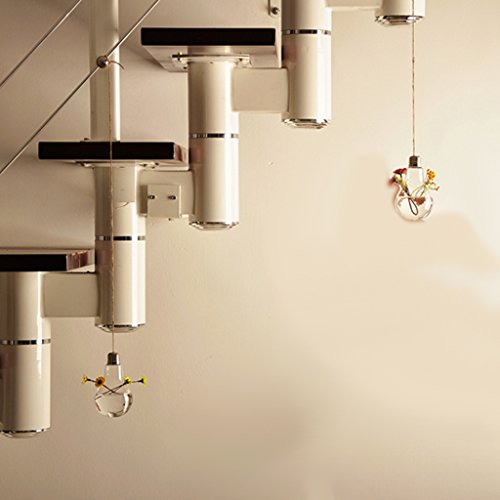 Gazechimp Klare Lampenglas Blühbirne – Glühbirnenvase Vase Flasche Für Pflanzenblumenschmuck - 2