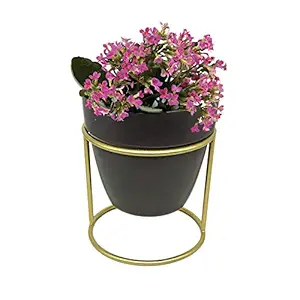 Pepper Agro Flower Round Metal Black Pot with Golden Color Metal Stand | Beautiful Home Decor Flower Pot | Table Top Decor Plants Planter