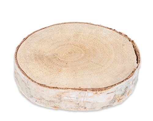 NaDeco® Birkenscheibe Ø10-15cm x 2cm | Holzscheibe | Baumscheiben | Birkenscheibe | Birkenstamm Scheiben | Birkenholz Deko | Holzscheibe zur Dekoration