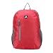PinStar Wanderer Foldable Backpack - Red (OS) RS.429.00