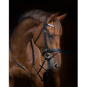 Kerbl Trensenzaum Stardust schwa Kerbl Trensenzaum Stardust schwa