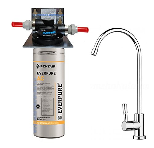 DEPURATORE ACQUA KIT EVERPURE AC MICRO FILTRAZIONE