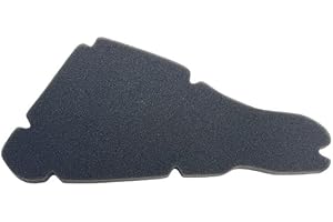 SEBA.RICAMBI Filtro Aria Spugna Scatola Aria per Scooter Nrg - Nrg Rst Mc2 - Ntt/Storm - Typhoon - X - Xr