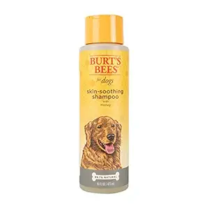 Burt's Bees for Dogs Soothing Skin Shampoo with Honey, 16 Ounces