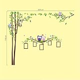Wandtattoo Wandsticker Kinderzimmer Wald Baum Eulen Aufkleber Sticker DDS 56 - 2