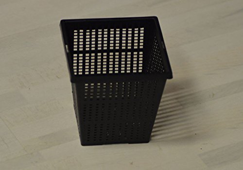 Teich PE Pflanzkorb schwarz 11 x 11 cm Pflanzhilfe Teichpflanzen (5) - 2