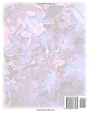 Image de Jens - Tagebuch - Notizbuch - Malbuch: Namensbuch Geschenkbuch Männlicher Vorname Jens