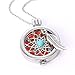 Linkings Unisex Aromatherapy Necklace Essential Oils Diffuser Hollow Locket Pendants