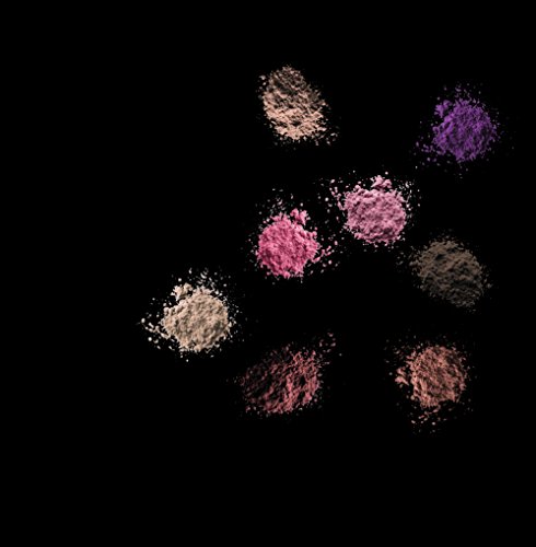 Sleek Makeup i-Divine Lidschatten Palette Oh So Special mit Spiegel, 1er Pack (1 x 13 g) - 5