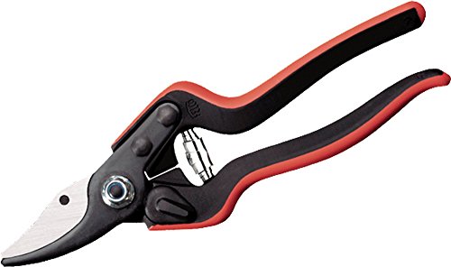Preisvergleich Produktbild Felco Schere Ess Entiel 160S