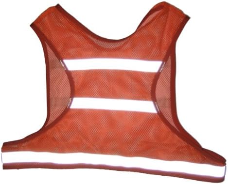 Dog Not Gone Visibility Products Dog Walkers Vest, Small/Medium