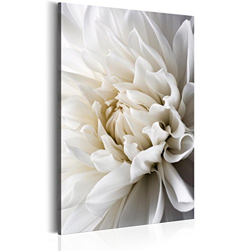 B&D XXL murando Quadro 80x120 cm Stampa in qualita Fotografica 1 Pezzo - Fiori b-B-0112-b-a