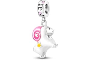 TINSLO Ciondolo 12 Costellazioni Argento Sterling 925 con Cubic Zirconia Pendenti per Pandora Braccialetti, Compatibile con Braccialetti e Collane europei, perfetto Regali per Moglie e Ragazze