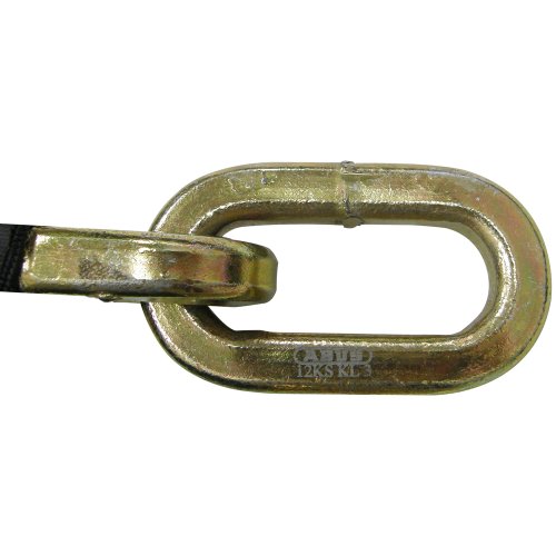 ABUS 30737 Chaine Antivol Citadel 12KS80 Loop, Noir