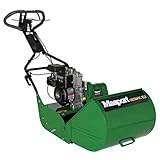 Motor B & S - Ancho de corte de 40 cm
